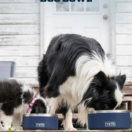 Yeti Boomer 4 Dog Bowl - Artsy Abode