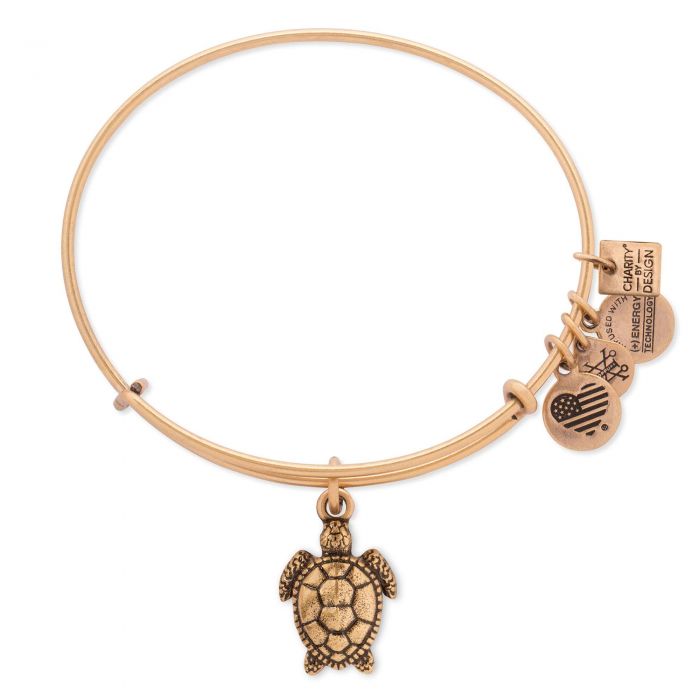Alex and Ani - Charity By Design: Turtle Bracelet - Rafaelian Gold - Artsy Abode