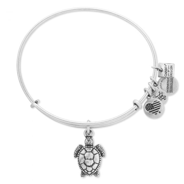 Alex and Ani - Charity By Design: Turtle Bracelet - Rafaelian Silver - Artsy Abode