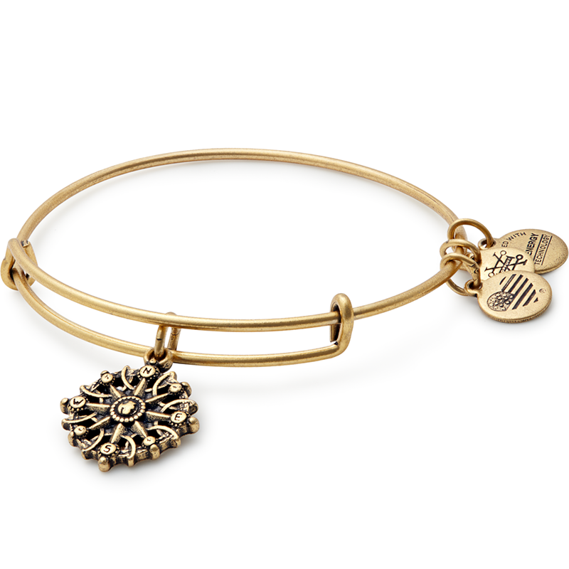 Alex and Ani - Compass III Bracelet - Rafaelian Rosegold - Artsy Abode