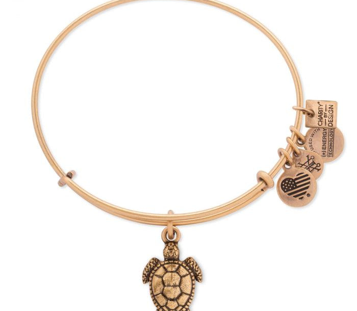 Alex and Ani - Charity By Design: Turtle Bracelet - Rafaelian Gold - Artsy Abode
