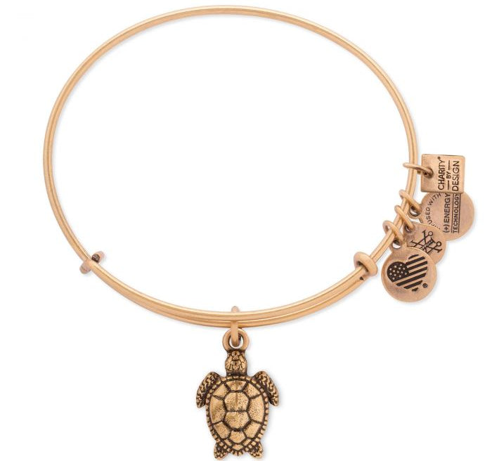 Alex and Ani - Charity By Design: Turtle Bracelet - Rafaelian Gold - Artsy Abode