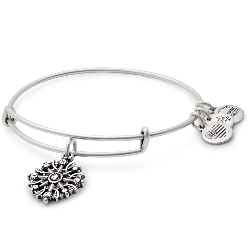 Alex and ani hot sale travel bracelet