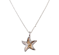 Sand Bar - Starfish Necklace - Silver - Artsy Abode
